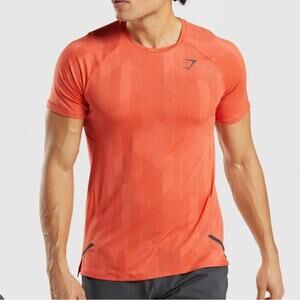 Gymshark Seamless Performance T-Shirt – Orange (Men’s L)